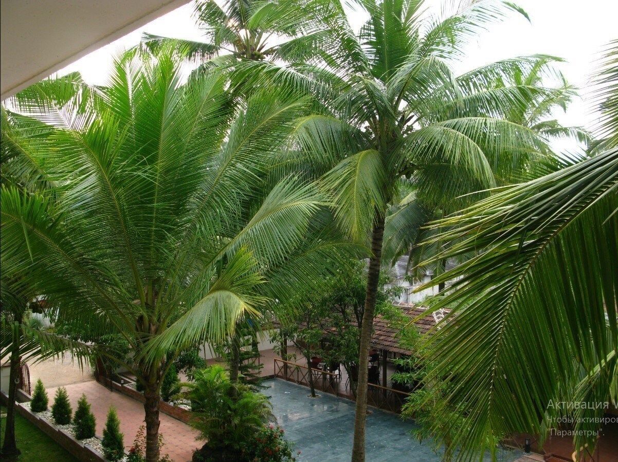 Фото Kristal Sands 3*